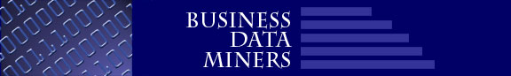 Business Data Miners